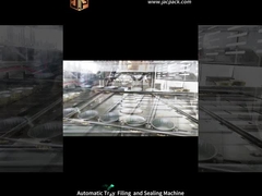 Sac rotatif automatique de remplissage de collations machine d'emballage d'aliments pour animaux de compagnie machine à légumes secs déshydratés